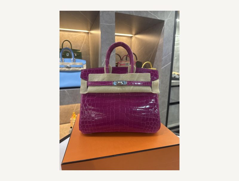 HERMÈS Hermes BIRKIN 25 rose crocodile