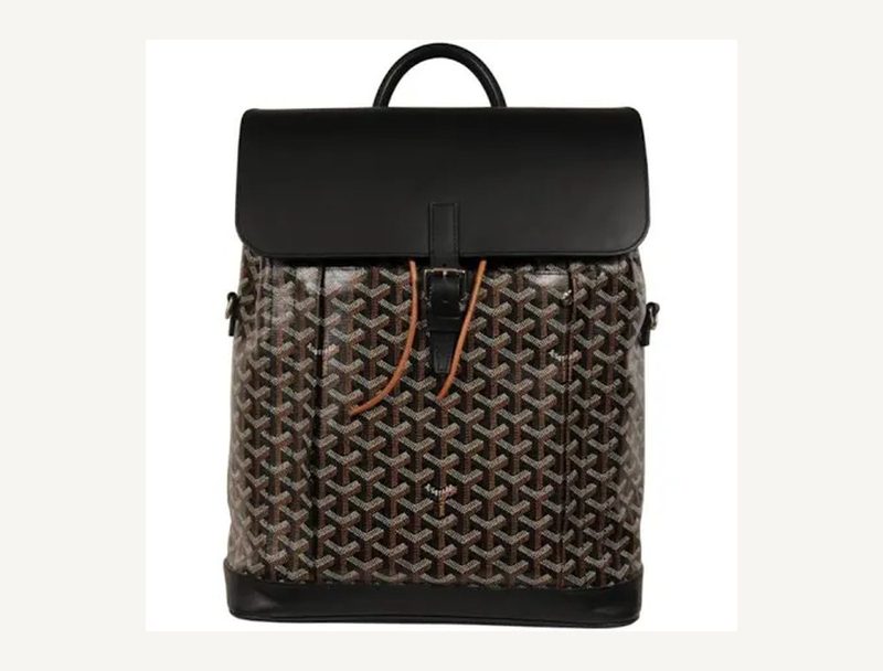 GOYARD Goyard Alpin Backpack — Black