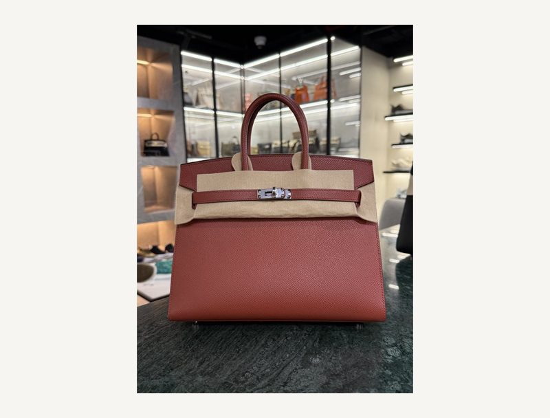 HERMÈS Hermes Birkin 25 Epsom — Terra Batteu